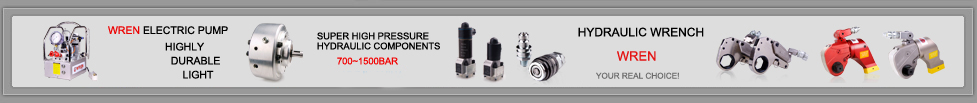 WREN hydraulic wrench and supporting hydraulic pump production of professional manufacturers WREN hydraulic wrench and supporting hydraulic pump production of professional manufacturers